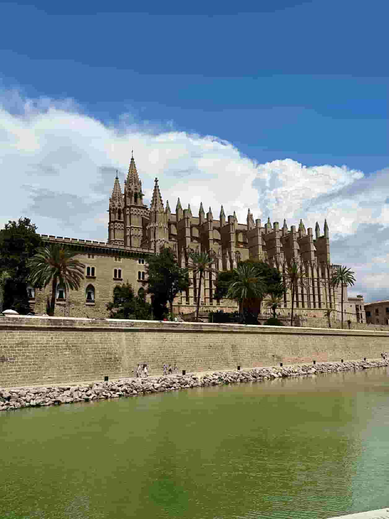 Palma Cathedral