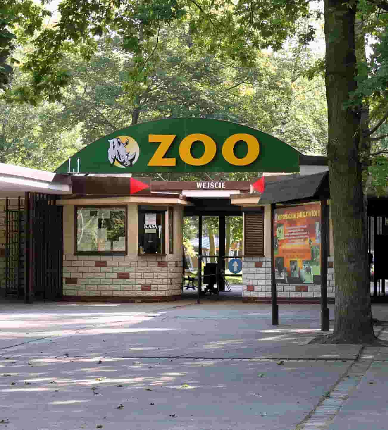 New Zoo