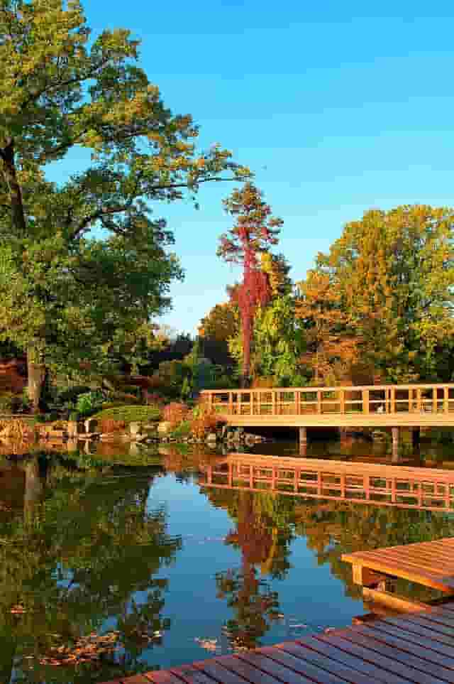 Japanese Garden