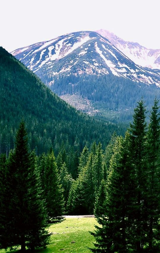 Tatra National Park